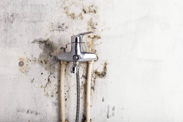 Best Emergency Mold Removal  in Deschutes River Woods, OR