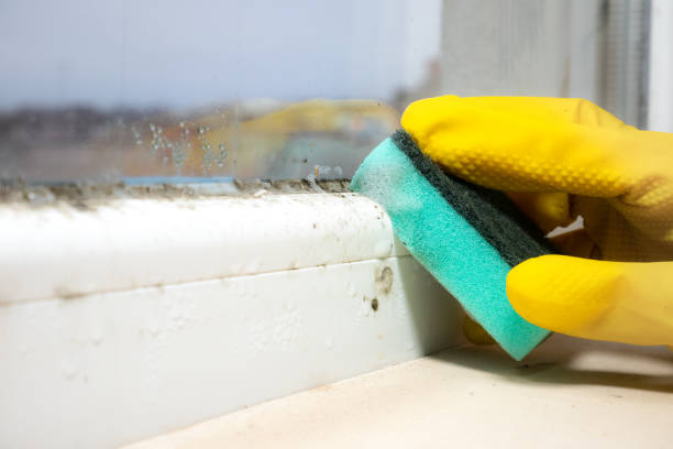 Best Mold Cleaning Services  in Deschutes River Woods, OR